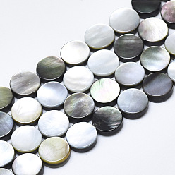 Coquillage Noir Perles de coquillage à lèvres naturel noir, plat rond, 10x3.5mm, Trou: 0.6mm