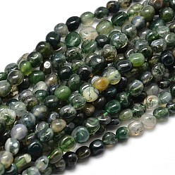 Moss Agate Natural Moss Agate Nuggets Beads Strands, Tumbled Stone, 5~10x6~7x3~7mm, hole: 1mm, about 14.9 inch~15.7 inch