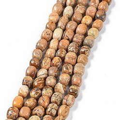 Picture Jasper Natural Picture Jasper Beads Strands, Nuggets Tumbled Stone, 6.5~15x7~14x7~14mm, Hole: 1~1.4mm, about 32~33pcs/strand, 15.16~ 15.75 inch(38.5~40cm)