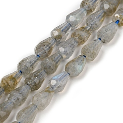 Labradorite Chapelets de perles labradorite naturelle , facette, larme, 5.5~8.3x4.1~4.35mm, Trou: 0.5mm, Environ 58 pcs/chapelet, 15.43~15.55 pouce (39.2~39.5 cm)