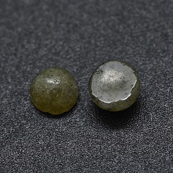 Labradorite Cabochons de labradorite naturelle, demi-tour / dôme, 4x1.5~2.5mm