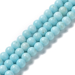 Howlite Natural Howlite Beads Strands, Dyed, Round, 6.5mm, Hole: 1mm, about 64pcs/strand, 15.71~15.79''(39.9~40.1cm)