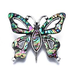 Colorful Abalone Shell/Paua Shell Brooches/Pendants, with Alloy Findings and Resin Bottom, Butterfly, Antique Silver, Colorful, 41.5x50mm, Pin: 0.6mm