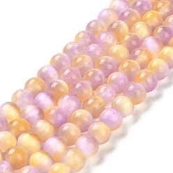 Prune Brins de perles teints en sélénite naturelle, imitation d'oeil de chat, Grade a, ronde, prune, 6mm, Trou: 0.8mm, Environ 62~66 pcs/chapelet, 15.24~15.43'' (38.7~39.2 cm)