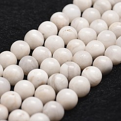 White Natural Crazy Agate Bead Strands, Round, White, 10mm, Hole: 1mm, about 37pcs/strand, 14.9 inch~15.1 inch