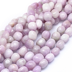 Kunzite Natural Kunzite Beads Strands, Spodumene Beads, Drum, 13~15x11~13mm, Hole: 1mm, about 29pcs/strand, 15.94 inch(40.5cm)