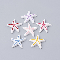 Mixed Color Resin Cabochons, Starfish/Sea Stars, Mixed Color, 23x23x6mm