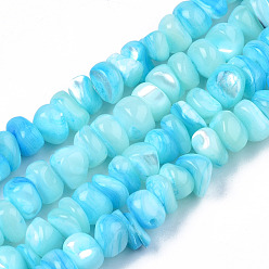 Cyan Natural Sea Shell Beads Strands, Dyed, Chips, Cyan, 2~7x5~7.5x4.5~7mm, Hole: 0.5~0.7mm, about 97~105pcs/strand, 15.55 inch~15.98 inch(39.5cm~40.6cm)