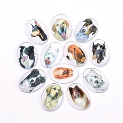 Color mezclado Foto de cachorro cabujones de vidrio plano, para proyectos de bricolaje, Patrón de perro, oval, color mezclado, 25x18x5.5 mm