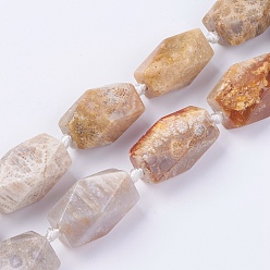 Fossil Coral Natural Fossil Coral Beads Strands, Faceted, Oval, 22~24.5x14~18mm, Hole: 2mm, about 15pcs/strand, 16.3~16.5 inch(41.7~42cm)