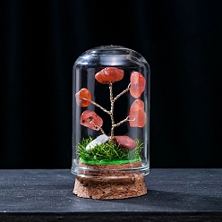 Carnelian Natural Carnelian Display Decorations, Miniature Plants, with Glass Cloche Bell Jar Terrarium and Cork Base, Tree, 30x57mm