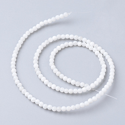 Freshwater Shell Natural Freshwater Shell Bead Strands, Round, 4mm, Hole: 0.5mm, about 99pcs/strand, 15.7 inch