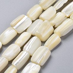 Light Goldenrod Yellow Natural Shell Beads Strands, Rectangle, Light Goldenrod Yellow, 13.5~15.5x7.5~11.5x4.5~8.5mm, Hole: 1mm, about 25pcs/Strand, 15.16 inch(38.5cm)