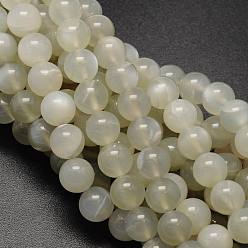 White Moonstone Brins de perles rondes en pierre de lune blanche naturelle, Grade a, 12mm, Trou: 1mm, Environ 33 pcs/chapelet, 15.74 pouce