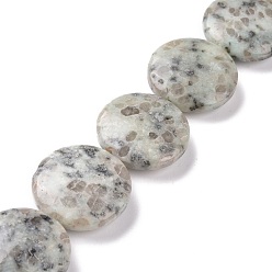 Jaspe Sésame Jaspe de sésame naturel / perles de jaspe kiwi, plat rond, 31~32x11mm, Trou: 1.4mm, Environ 13 pcs/chapelet, 15.94'' (40.5 cm)