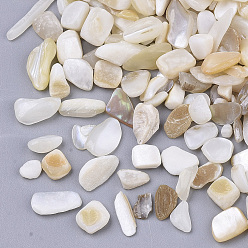 Seashell Color Freshwater Shell Beads, Undrilled/No Hole Beads, Chip, Seashell Color, 1~16x1~5x0.5~5mm