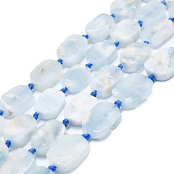 Aigue-marine Aigue-marine naturelle brins de perles, rectangle, 15~11x10~13x5~7mm, Environ 22 pcs/chapelet, 15.94'' (40.5 cm)