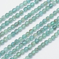 Apatite Faceted Round Natural Apatite Bead Strands, 4mm, Hole: 1mm, about 100pcs/strand, 15.5 inch