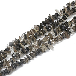 Smoky Quartz Natural Smoky Quartz Beads Strands, Chip, 3~11x3~5x1~4mm, Hole: 1mm, about 380~400pcs/strand, 33 inch