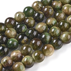 Dark Olive Green Natural Tiger Eye Beads Strands, Dyed & Heated, Round, Dark Olive Green, 6mm, Hole: 1mm, about 60pcs/strand, 14.3 inch(36.5cm)