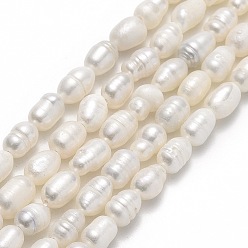 Linen Natural Cultured Freshwater Pearl Beads Strands, Rice, Linen, 5~7x4~5mm, Hole: 0.6mm, about 49~51pcs/strand, 13.58 inch(34.5cm)