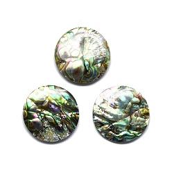Colorful Natural Abalone Shell/Paua Shell Cabochons, Flat Round, Colorful, 28~29x3~4mm