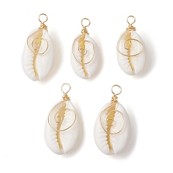 Snow 5Pcs Natural Cowrie Shell Copper Wire Wrapped Vortex Pendants, Light Gold, Shell Charms, Snow, 20~23x10.5~13x6.5~9mm, Hole: 2.5mm