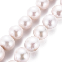 Coquillage De Mer Perles de nacre naturelle brins Keshi, perle de culture d'eau douce, ronde, couleur de coquillage, 12~14x9~14mm, Trou: 0.7mm, Environ 30~32 pcs/chapelet, 16.14 pouce (41 cm)