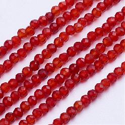Красный Агат Природного сердолика нитей бисера, окрашенная и подогревом, граненые, круглые, 2~2.5 мм, отверстие : 0.5 мм, около 200~207 шт / нитка, 15.35 дюйм ~ 15.7 дюйм (39~40 см)