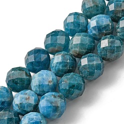 Apatite Perles naturelles apatite brins, à facettes (64 facettes), ronde, 8mm, Trou: 0.8mm, Environ 47 pcs/chapelet