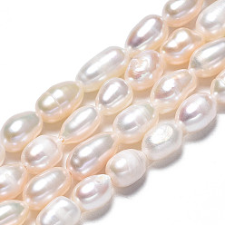 Seashell Color Natural Cultured Freshwater Pearl Beads Strands, Rice, Seashell Color, 7.5~10.5x5~6mm, Hole: 0.7mm, about 20~21pcs/strand, 6.85 inch~7.09 inch(17.4cm~18cm)