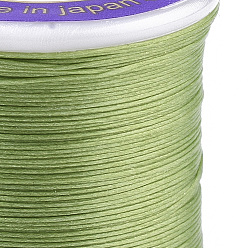 Light Green Nylon 66 Coated Beading Threads for Seed Beads, Light Green, 0.1mm, about 54.68 yards(50m)/roll