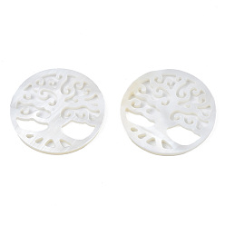Shell Natural Freshwater Shell Filigree Joiners, Flat Round with Tree of Life, 27.5x1.5mm