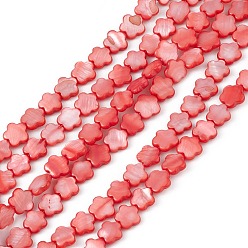 Rouge Brins de perles d'eau douce naturelles teintes en coquillage, fleur, rouge, 8x8.5x3mm, Trou: 0.6mm, Environ 49 pcs/chapelet, 15.35'' (39 cm)