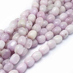 Kunzite Kunzite naturelles brins de perles, perles de spodumène, tambour, 10~13x8~10mm, Trou: 1mm, Environ 36 pcs/chapelet, 16.14 pouce (41 cm)