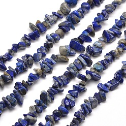 Lapislázuli Naturales lapis lazuli hebras de perlas de chips, 5~8x5~8 mm, agujero: 1 mm, alrededor de 31.5 pulgada