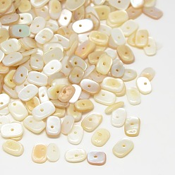Antique White Dyed Natural Freshwater Shell Chips Beads, Antique White, 7~10x5~7x1~4mm, Hole: 1mm, about 2600pcs/500g