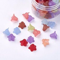 Color mezclado Abalorios de acrílico transparentes, esmerilado, flor, color mezclado, 16x12 mm, agujero: 1.5 mm, sobre 60~65 unidades / caja