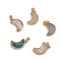 Mixed Shell Natural Shell Pendants, with Golden Plated Brass Findings, Long-Lasting Plated, Moon, 16x10x3mm, Hole: 3x2.5mm