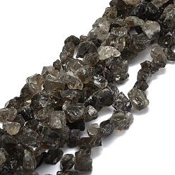 Quartz Fumé Brins naturels bruts de perles de quartz fumé, puce, 8~18x7~14x4~11mm, Trou: 1.2mm, Environ 50~51 pcs/chapelet, 16.14'' (41 cm)