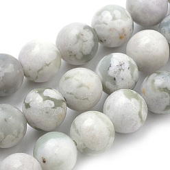 Jade de Paix Brins de perles de jade de la paix naturelle, ronde, 6mm, Trou: 1mm, Environ 62 pcs/chapelet, 15.7 pouce