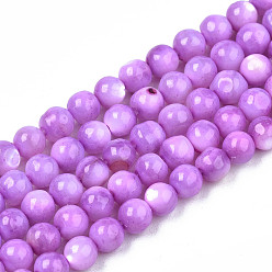 Orchid Natural Freshwater Shell Beads Strands, Dyed, Round, Orchid, 4mm, Hole: 0.8mm, about 97~99pcs/strand, 14.88 inch~15.16 inch(37.8~38.5cm)