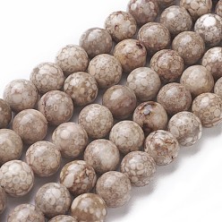 Fossil Coral Natural Fossil Coral Beads Strands, Round, 10~10.5mm, Hole: 1mm, about 38pcs/strand, 14.9 inch(38cm)
