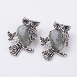 Labradorite Natural Labradorite Pendants, with Alloy Finding, Owl, Antique Silver, 46.5x35.5x11.5mm, Hole: 6x8.5mm