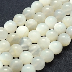 White Moonstone Natural White Moonstone Beads Strands, Grade A-, Round, 10mm, Hole: 1mm, about 39pcs/strand, 15.7 inch(40cm)