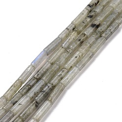 Labradorite Natural Labradorite Beads Strands, Column, 13x4mm, Hole: 1.4mm, about 28pcs/strand, 15.20''(38.6~39.1cm)