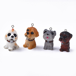 Mixed Color Resin Puppy Pendants, with Platinum Tone Iron Findings, Dog, Mixed Color, 36~37x20~21x22~23mm, Hole: 2mm