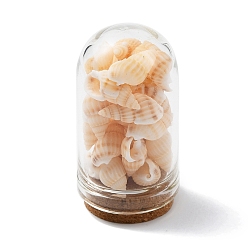 Trigo Decoraciones de exhibición de botellas de cúpula de vidrio, con cuenta de concha natural en el interior y base de corcho, trigo, 46~48x25 mm