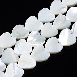 Белый Натуральная оболочка из трохидных оболочек, отбеливатель, сердце, белые, 12x12x3 мм, отверстие : 0.8 мм, около 39~41 шт / нитка, 15.55 дюйм ~ 15.94 дюйм (39.5~40.5 см)