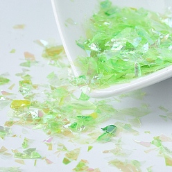 Lime Plastic Candy Sequins/Paillette Chip, UV Resin Filler, for Epoxy Resin Jewelry Making, Lime, 2~20x2~16mm, about 20g/bag